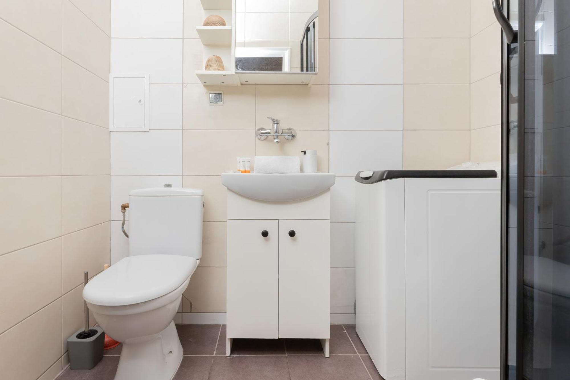 Apartament Totu Necla Centrum *